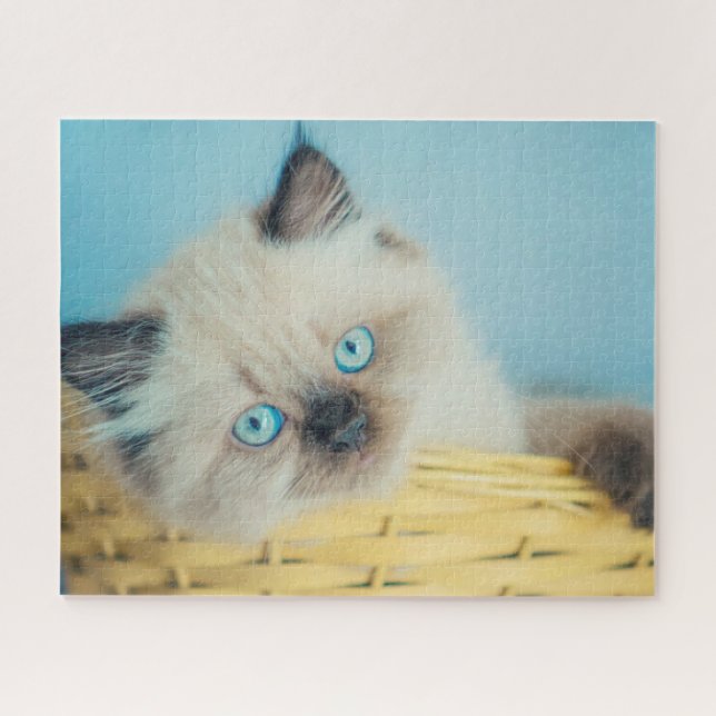 Puzzle Animaux de bébés cutest | Himalaya Seal Point Cat (Horizontal)