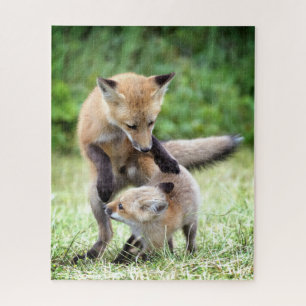 Puzzle Animaux de bébés cutest   Kit et maman Fox adorabl