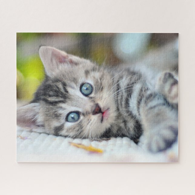 Puzzle Animaux de bébés cutest | Kitten aux yeux bleus (Horizontal)
