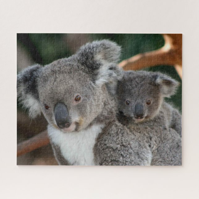 Puzzle Animaux de bébés cutest | Koala et Joey (Horizontal)