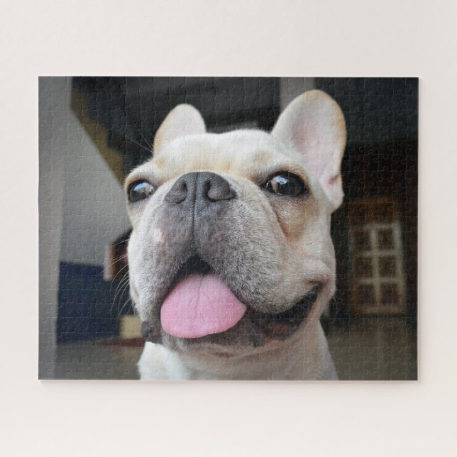 Puzzle Animaux de bébés cutest | Le visage de Bulldog (Horizontal)