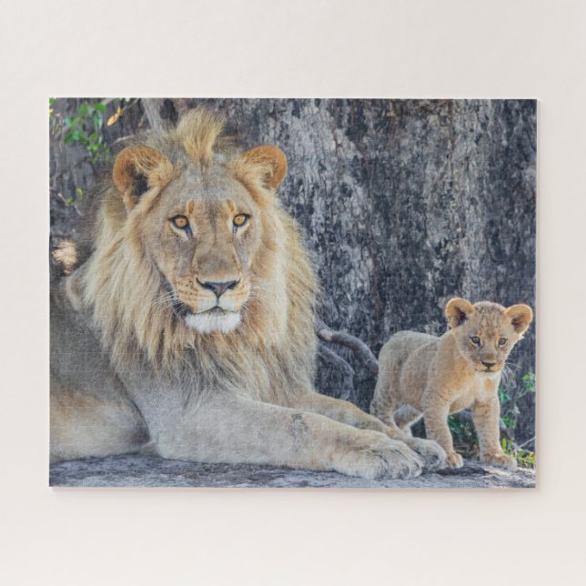 Puzzle Animaux de bébés cutest | Lion Dad & Cub (Horizontal)