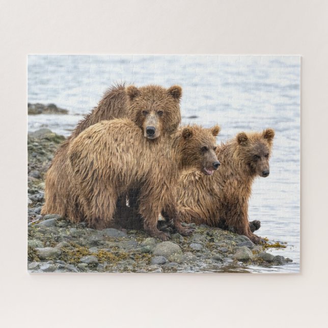 Puzzle Animaux de bébés cutest | Ours et oursons (Horizontal)