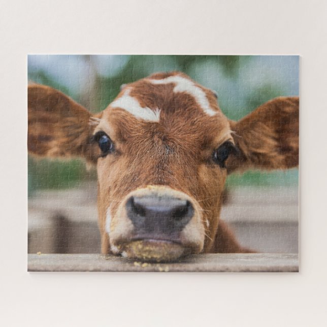 Puzzle Animaux de bébés cutest | Petite vache (Horizontal)