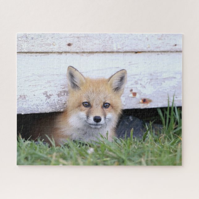 Puzzle Animaux de bébés cutest | Red Fox Kit Peeking (Horizontal)