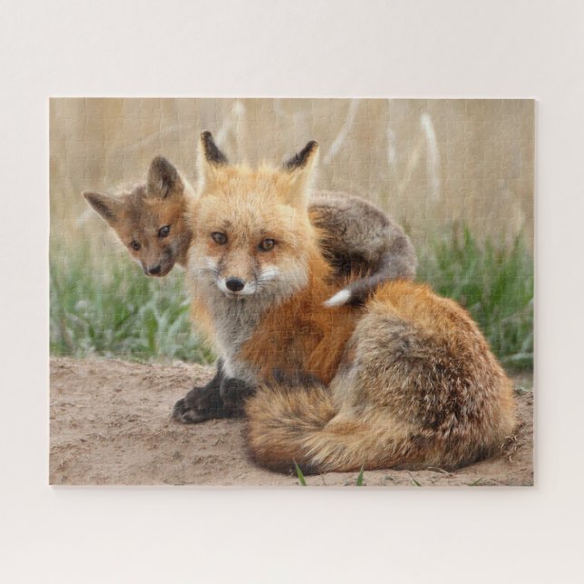 Puzzle Animaux de bébés cutest | Renard rouge et bébé (Horizontal)