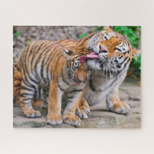 Puzzle Animaux de bébés cutest Sibérie Tiger Famille