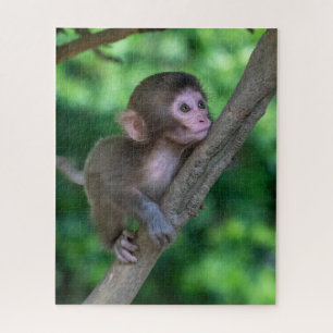 Puzzle Animaux de bébés cutest   Singe bébé
