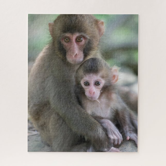 Puzzle Animaux de bébés cutest | Singes japonais (Vertical)