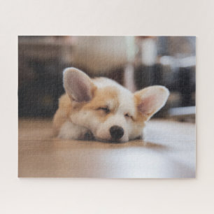 Puzzle Animaux de bébés cutest Sleepy Corgi