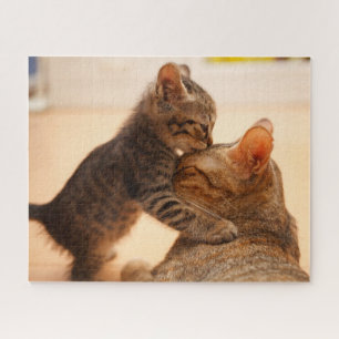 Puzzle Animaux de bébés cutest   Tabby Kitten Kiss