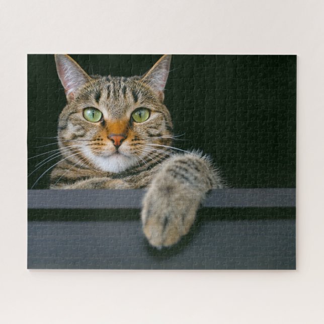 Puzzle Animaux de bébés cutest | Tête de chat gris Tabby (Horizontal)