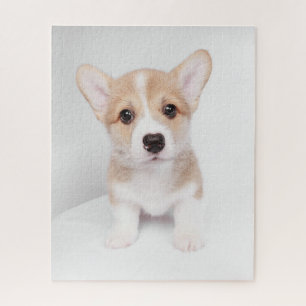 Puzzle Animaux de bébés cutest   Tiny Corgi