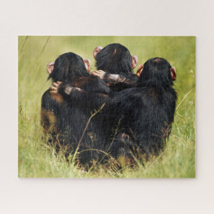 Puzzle Animaux de bébés cutest Trois chimpanzés en trai