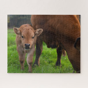Puzzle Animaux de bébés cutest   Vache et veau