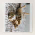 Animaux de compagnie adorables 11" x 14"