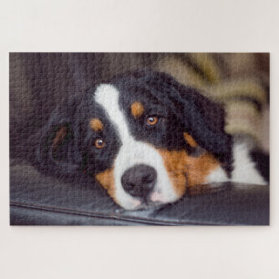 Puzzle Animaux de compagnie difficiles 20" x 30"