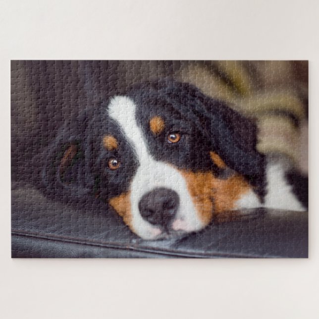 Puzzle Animaux de compagnie difficiles 20" x 30" (Horizontal)
