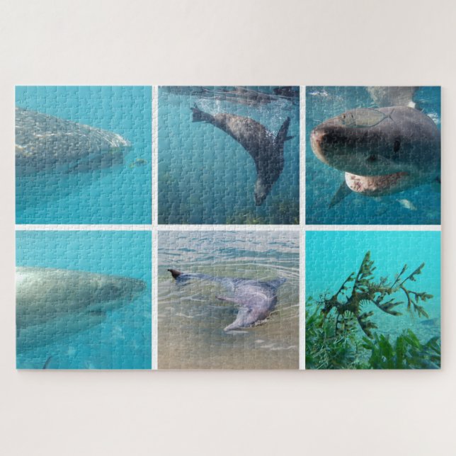 Puzzle Animaux de vie sous-marine, 1014 pièces (Horizontal)