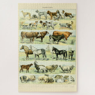 Puzzle Animaux domestiques vintages par Adolphe Millot