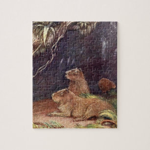 Puzzle Animaux sauvages vintages, Capybara de Louis Sarge