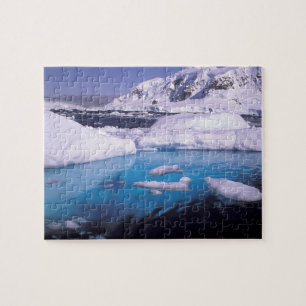 Puzzle Antarctique. Expédition à travers les échappée