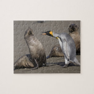 Puzzle Antarctique, île de Géorgie du Sud (Royaume-Uni),
