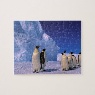 Puzzle Antarctique, Territoire antarctique australien, 7