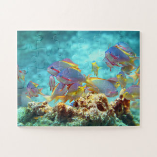Puzzle Anthias - Banc coloré de poissons sur un récif cor