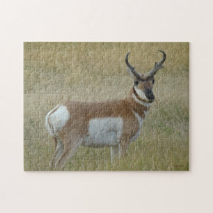 Puzzle Antilope d'Amérique A1 Grand Buck
