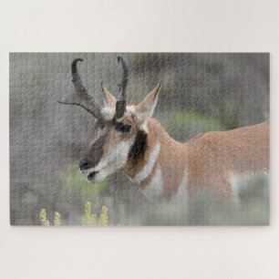 Puzzle Antilope d'Amérique mâle Grand Tetons