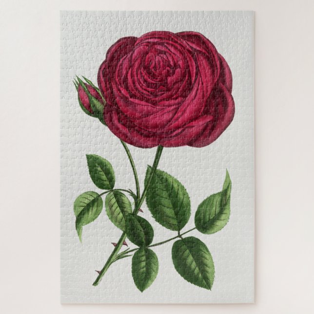 Puzzle Antique Rose Lithograph, François-Frédéric Grobon (Vertical)