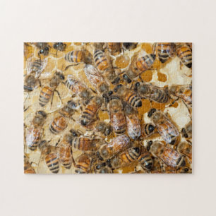 Puzzle Apiculture à la ferme d'Arlo's Honey