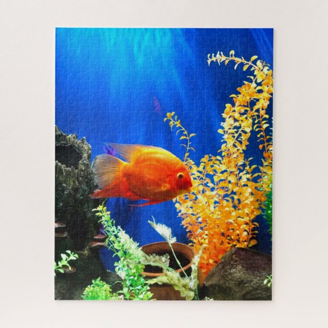 Puzzle Aquarium aquarium aquarium (Vertical)
