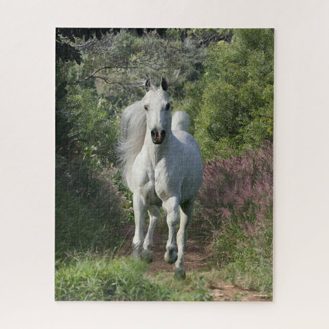 Puzzle Arabe Gris Courant Sur Le Chemin Avec Fleurs (Vertical)