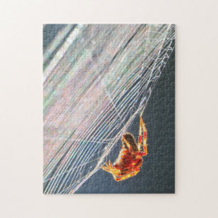 Puzzle Araignée à toile sur toile