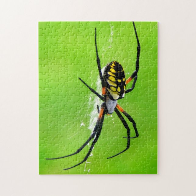 Puzzle Araignée de jardin (Vertical)