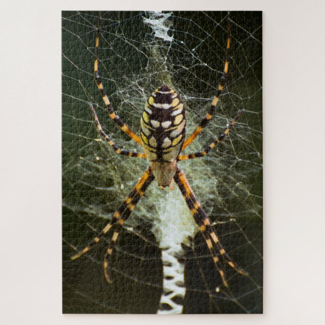 Puzzle Araignée de jardin jaune sur la toile en noir (Vertical)