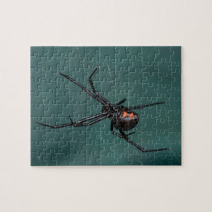 Puzzle Araignée de veuve noire