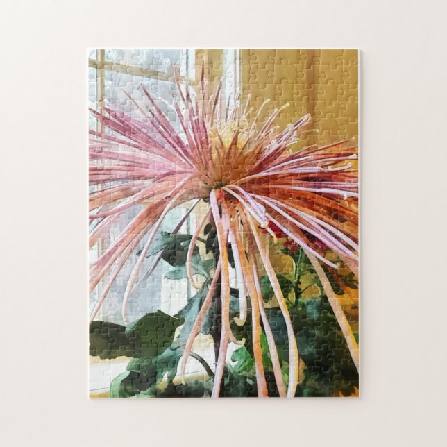 Puzzle Araignée Mum rose Splendor (Vertical)