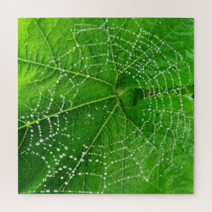 Puzzle Araignée Web et gouttelettes de pluie sur la feuil