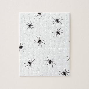 Puzzle araignées