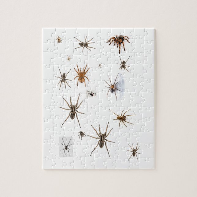 Puzzle Araignées d'amour ! (Vertical)