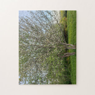 Puzzle arbre à fleurs de pomme double