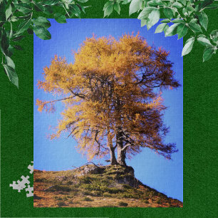 Puzzle Arbre d'automne