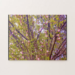 PUZZLE ARBRE DE BLOSSOM DE POMME