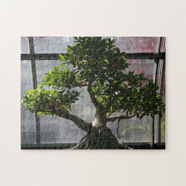 Puzzle Arbre de bonsaïs (Horizontal)