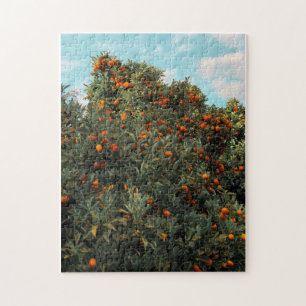 Puzzle Arbre de Kumquat