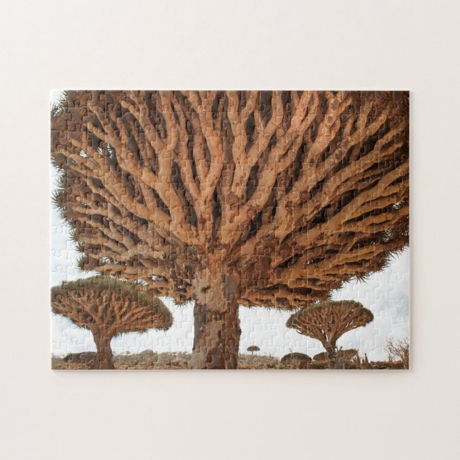 Puzzle Arbre de sang de dragon, île d'île de Socotra, (Horizontal)