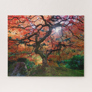 Puzzle Arbre d'érable d'automne à Portland Jardin japonai